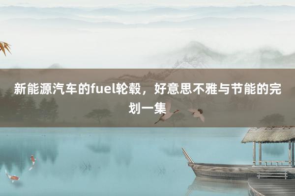 新能源汽车的fuel轮毂，好意思不雅与节能的完划一集