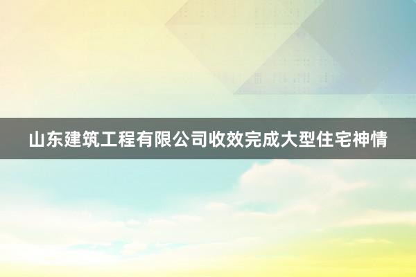山东建筑工程有限公司收效完成大型住宅神情