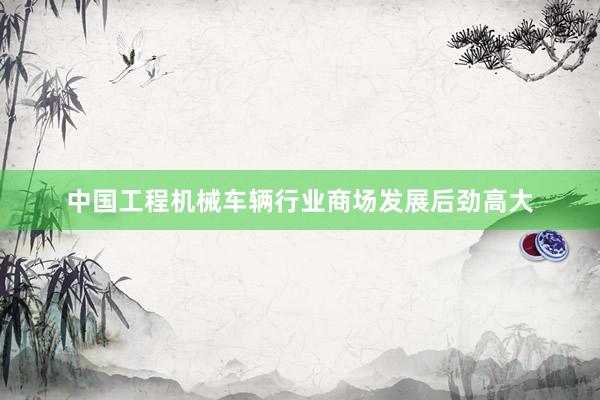 中国工程机械车辆行业商场发展后劲高大